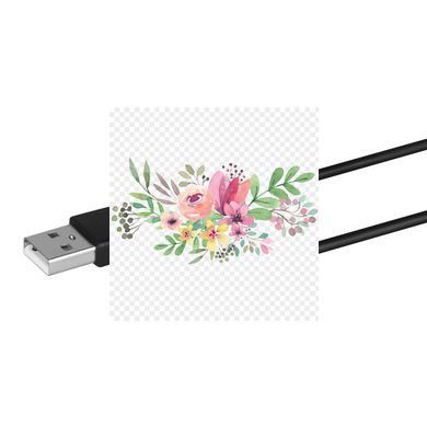 Зарядка (запасной кабель) для игрушек Satisfyer USB charging cable Black SO7792 фото