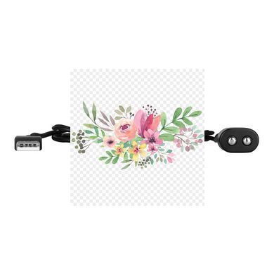 Зарядка (запасной кабель) для игрушек Satisfyer USB charging cable Black SO7792 фото