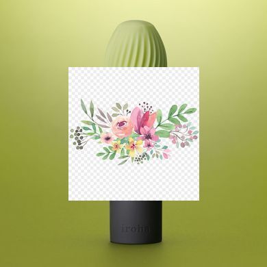 Вибратор IROHA ZEN Matcha с нежной ребристой поверхностью SO4913 фото