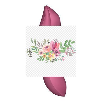 Вакуумний стимулятор із вібрацією Satisfyer Curvy Trinity 3 Red SO6117 фото