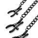 Зажимы для сосков и клитора Bedroom Fantasies: Nipple & Clitoral Clamps, черные SO8818 фото 2