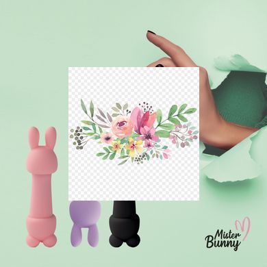 Мини-вибратор FeelzToys Mister Bunny Black с двумя насадками SO4438 фото