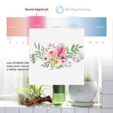 Піна для інтимного догляду Iroha Intimate Wash Foam Type Sweet Citrus 150 мл SX3494 фото